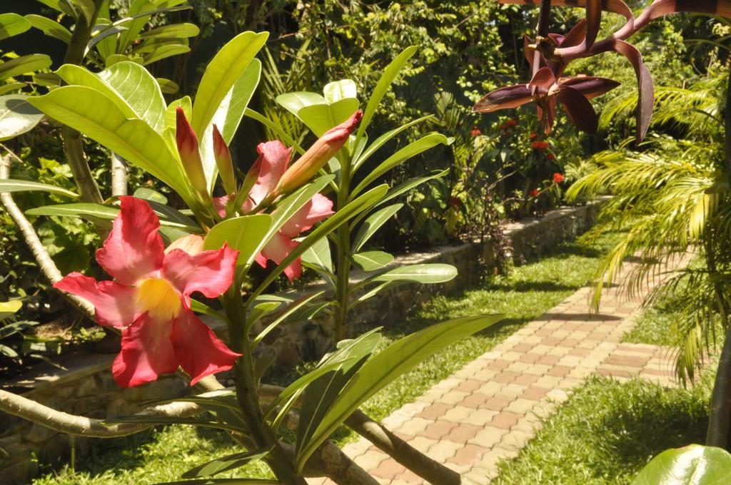 Green Villa Unawatuna Exterior photo